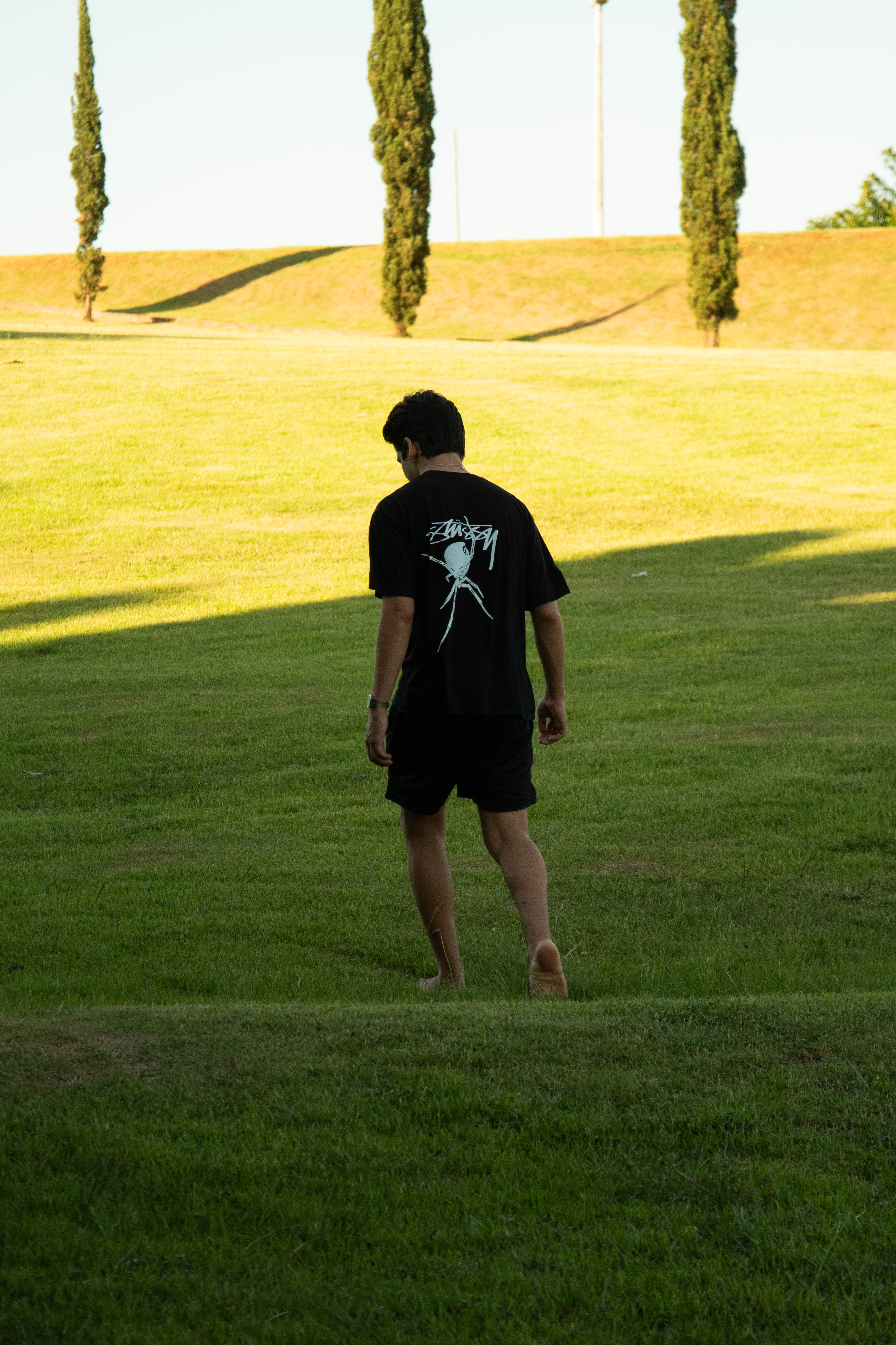 Descrição da imagem